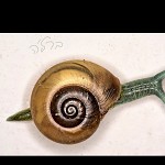 Escargot berlingo, montre moi tes cornes. ברל'ה